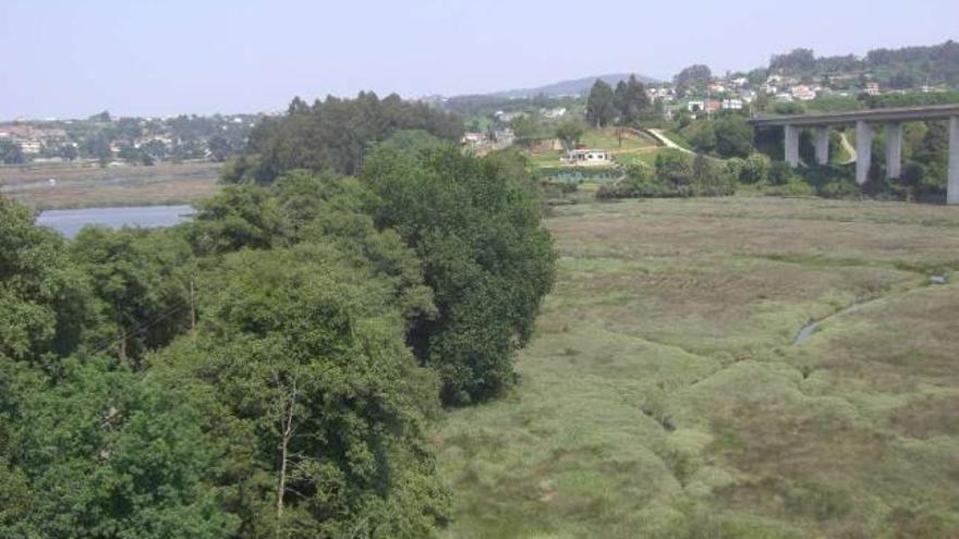 La marisma, con la vía férrea cubierta por los árboles y, a la derecha, el viaducto de la autopista. / i.o.