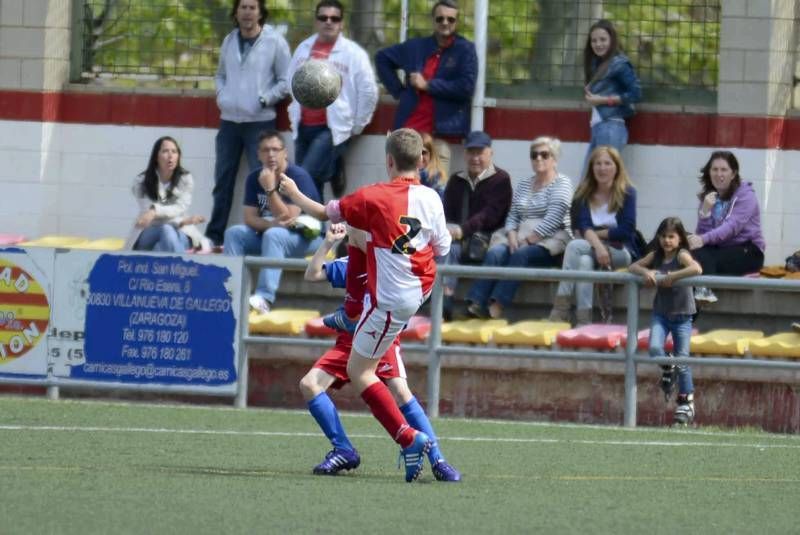 FÚTBOL: Hernán Cortés - San Gregorio (1ª Alevín grupo 2)