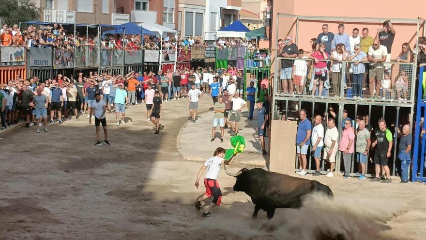 Almenara revela seu grande cartaz taurino: estes são os dez touros que protagonizarão as festas