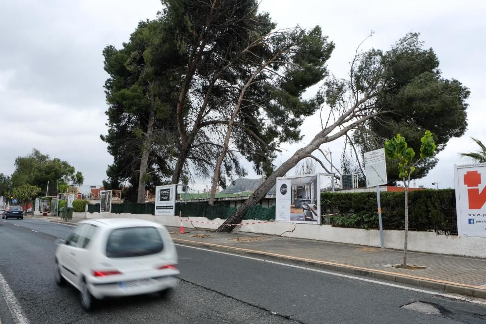 Consecuencias de la lluvia en Elda