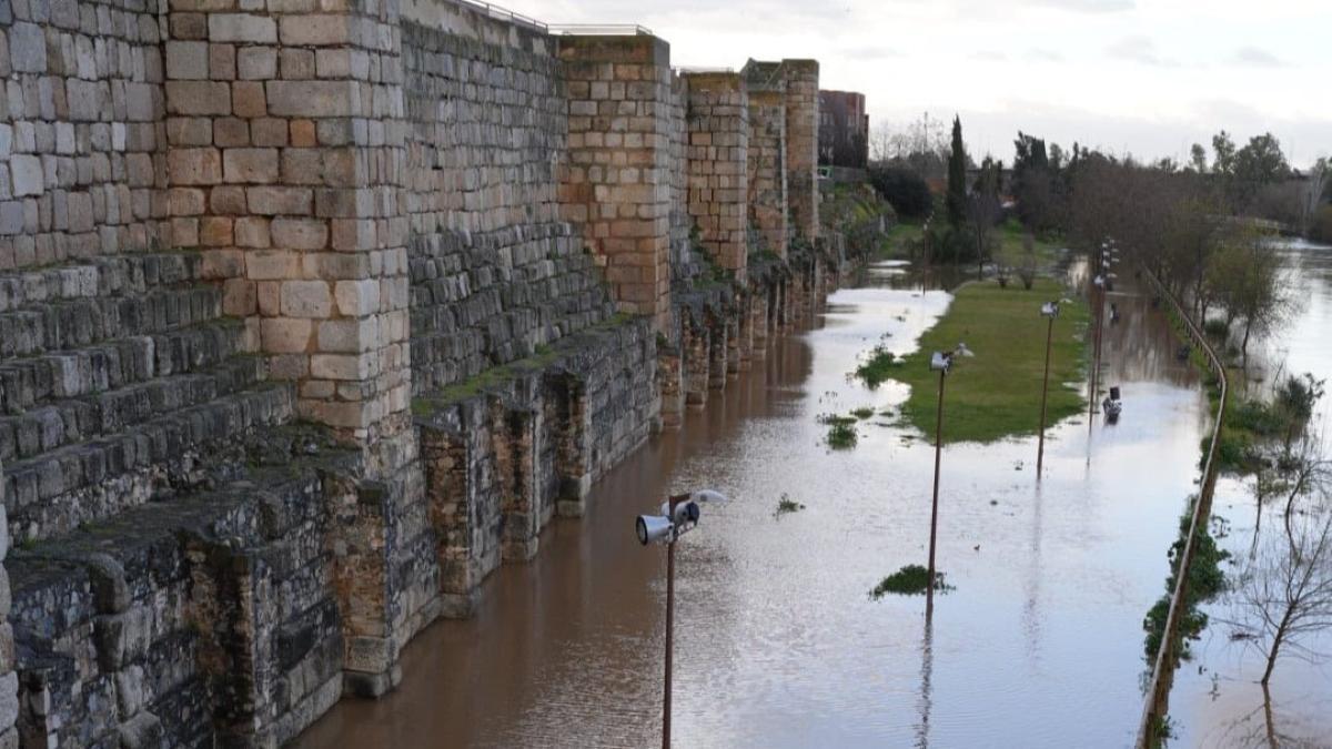 Vídeo | La crecida del Guadiana inunda la isla de Merida