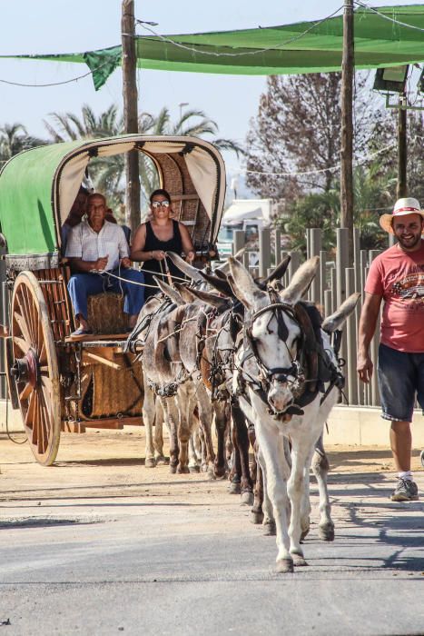 Dolores se va de romería huertana