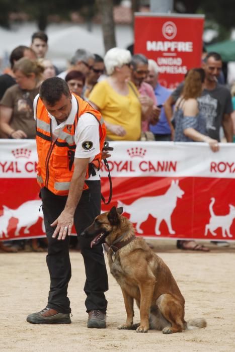 Fira animalista de Salt