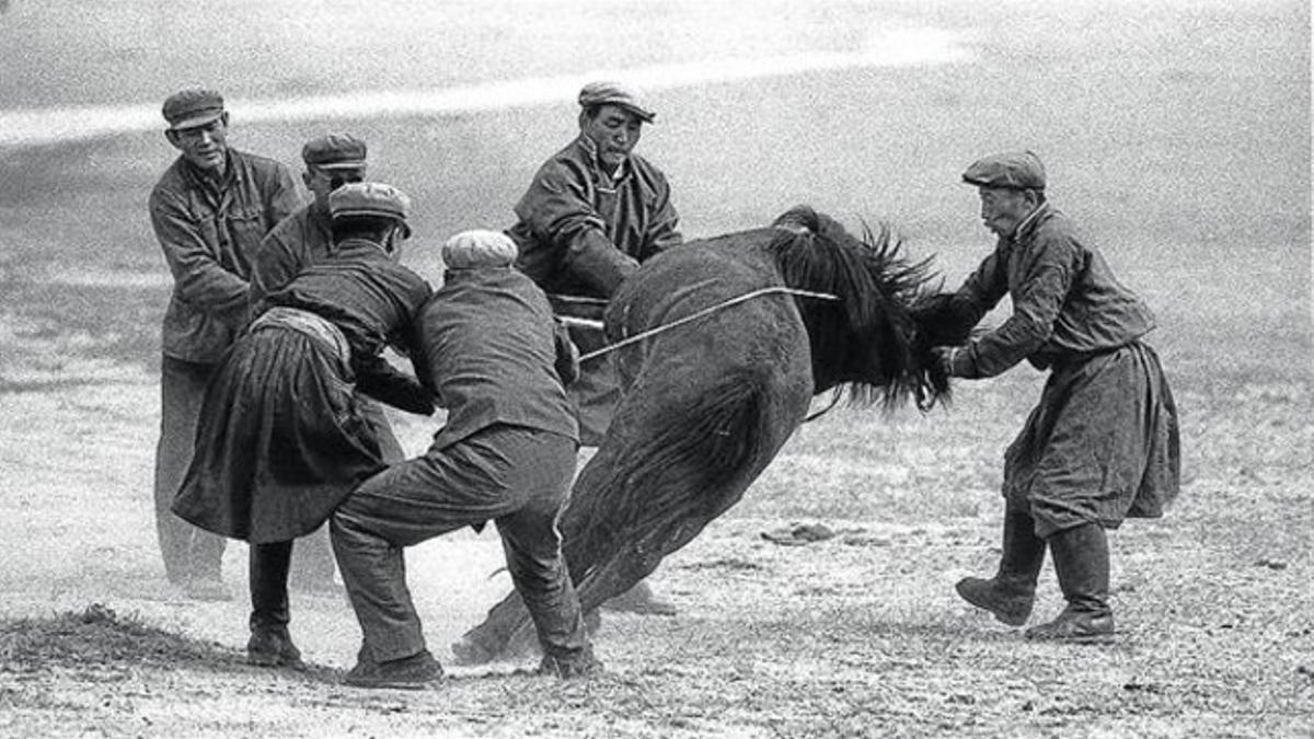 Unos hombres controlan un caballo salvaje con un lazo en Mongolia interior, en 1979.