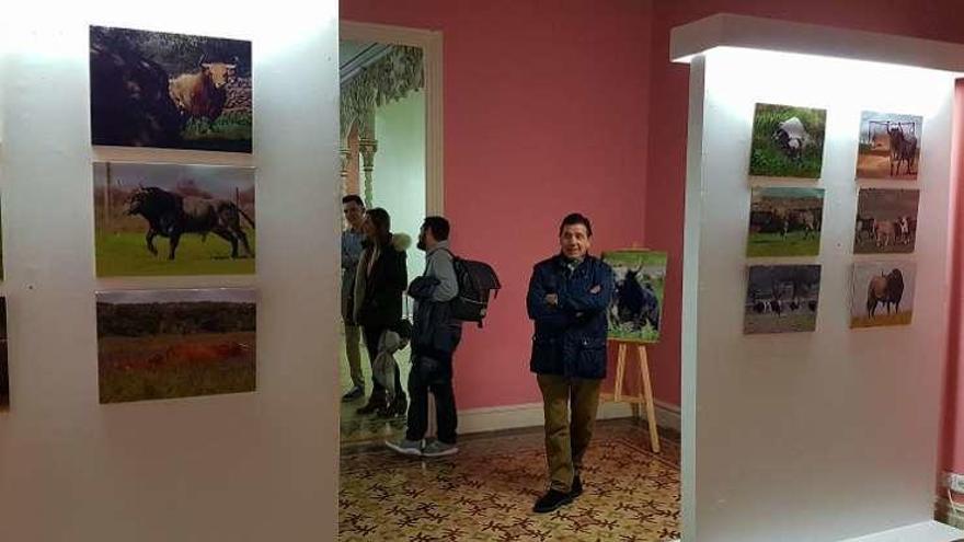 Inauguración de la exposición fotográfica en Casa Solita ayer.