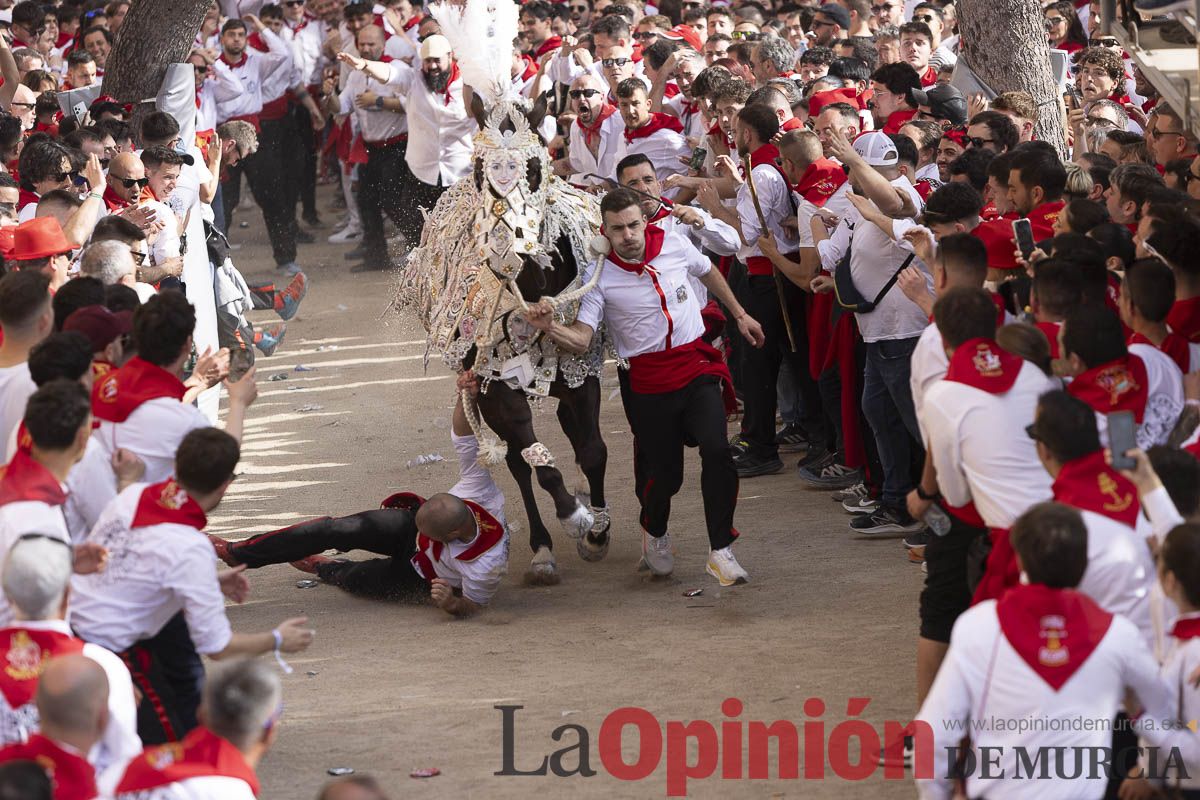 Así se ha vivido la carrera de Los Caballos del Vino en Caravaca