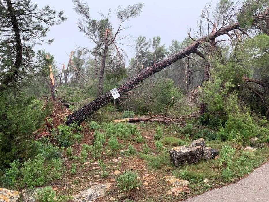 El temporal descarga sobre Ibiza y Formentera