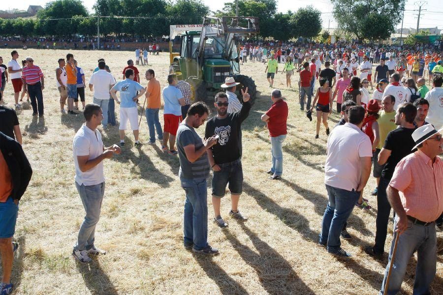 Fiestas en Zamora: Segudos espantes de Fuentesaúco