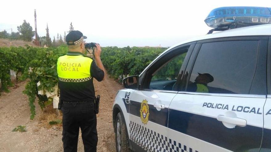 Un agente de la Policía Local vigilando una finca de uva de mesa de Aspe