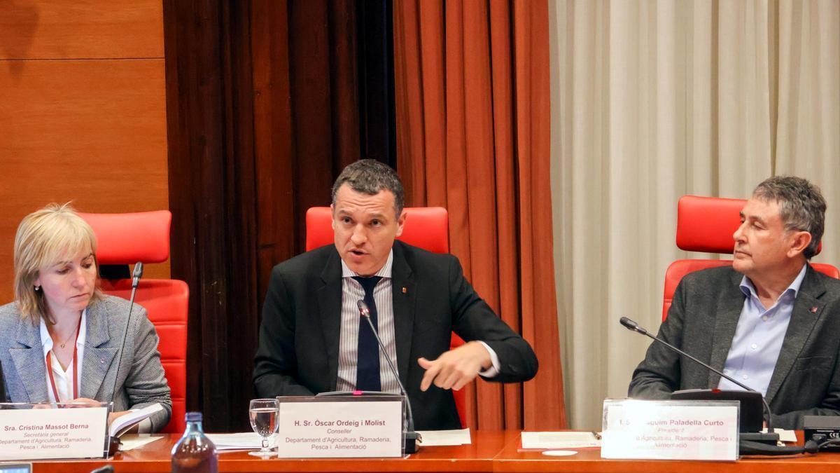 El conseller d'Agricultura, Òscar Ordeig, a la Comissió d'Agricultura al Parlament sobre la PPA