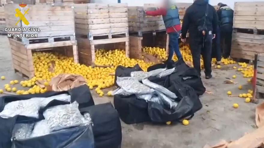Cae una organización que enviaba marihuana a Alemania desde Villanueva del Trabuco