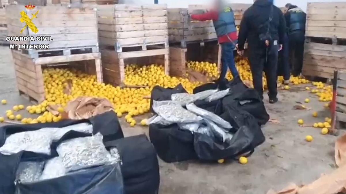Nueve detenidos de una red de tráfico de marihuana con sede en Villanueva del Trabuco