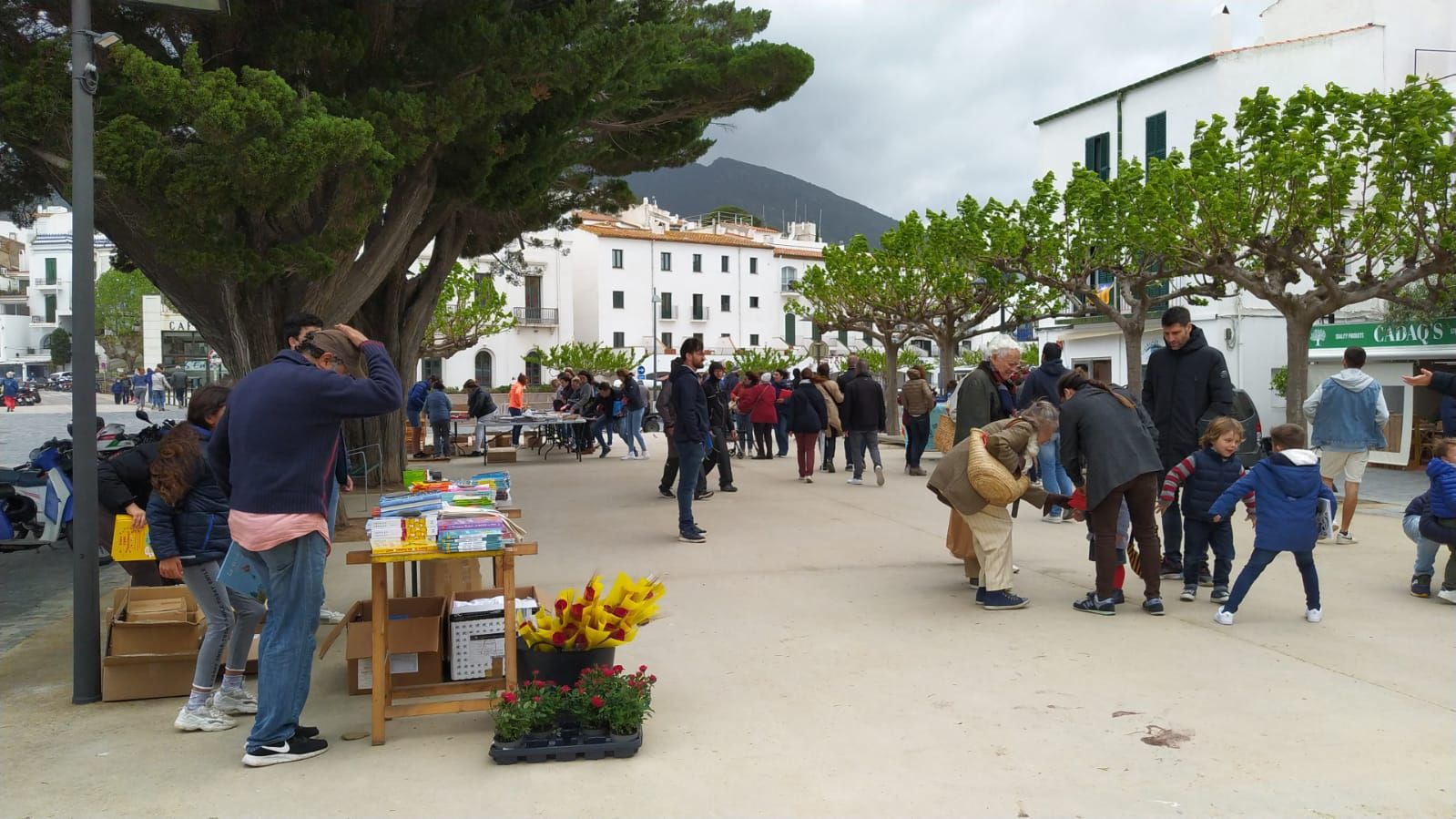 Sant Jordi a Cadaqués