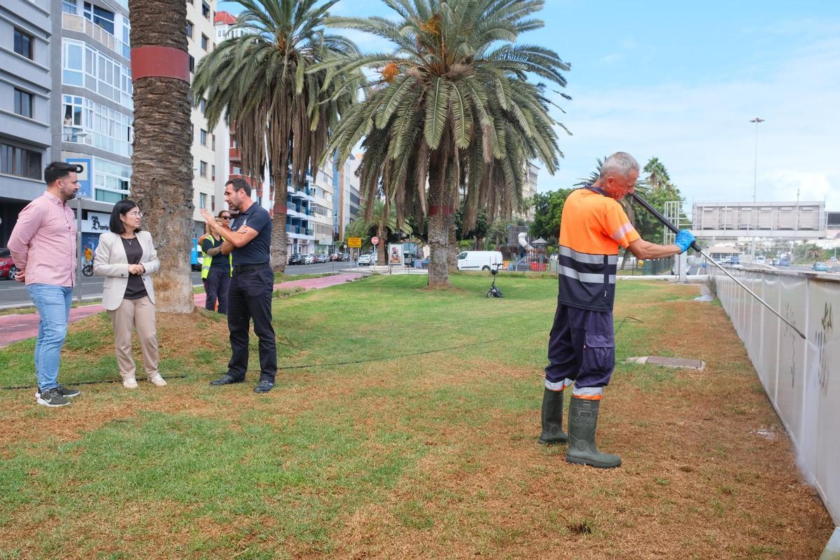 La alcaldesa, Carolina Darias, y el concejal de Limpieza, Héctor Alemán, comprueba los trabajos de retiradas de pintadas