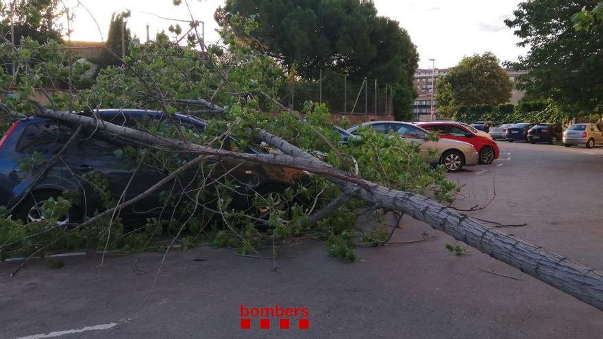 L&#039;arbre caigut damunt d&#039;un cotxe a Figueres