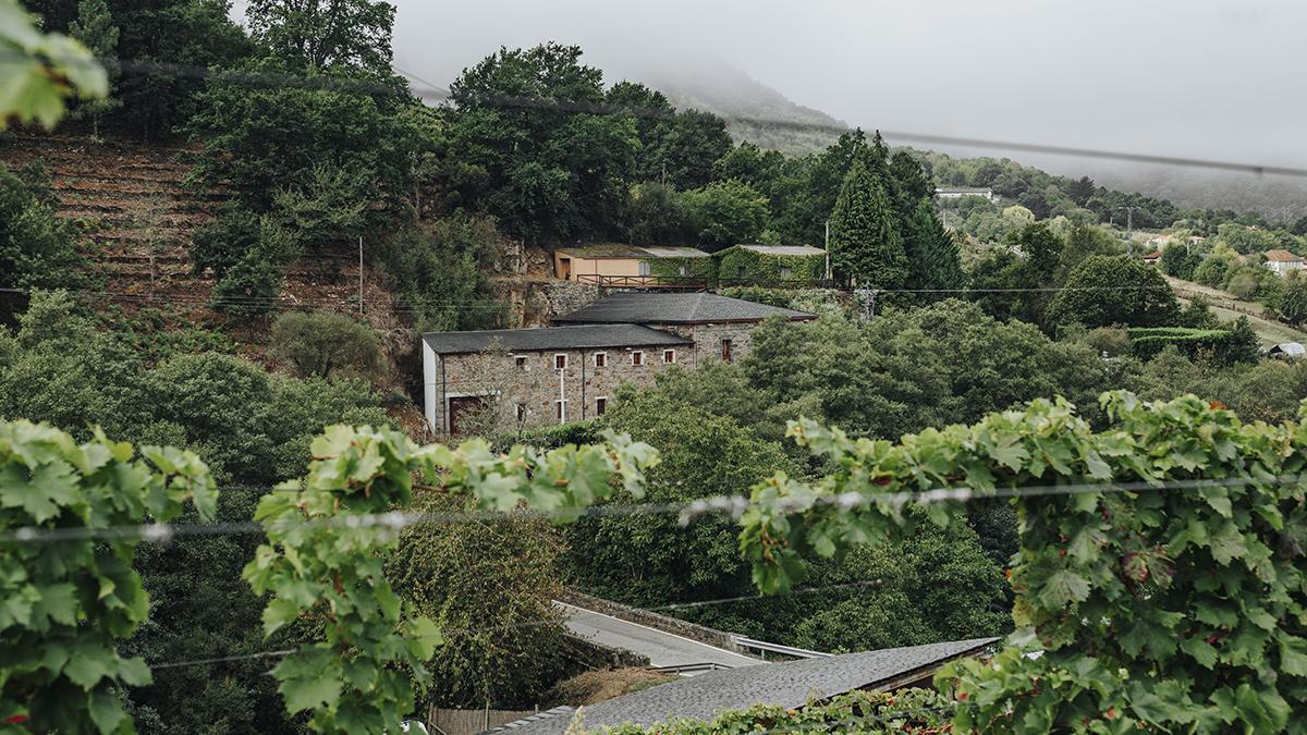 Ponte da Boga, en Castro Caldelas, es uno de los proyectos históricos de la Ribeira Sacra y referente en la recuperación de viñedos singulares.
