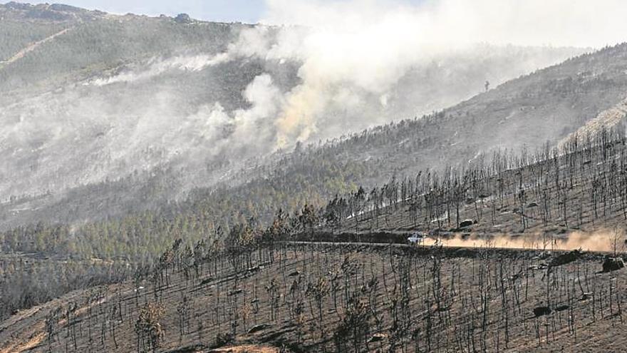 Dos incendios forestales queman 2.000 hectáreas en Jaén y Ourense