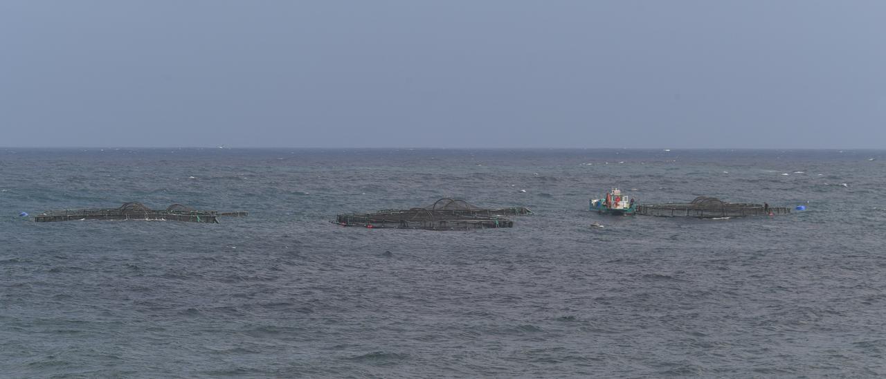 Piscifactorías frente a la playa de Salinetas