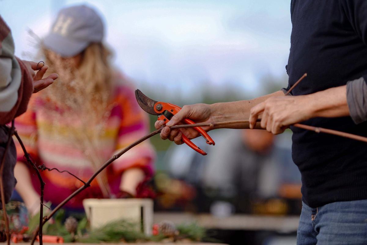 Navidad con sobrasada torrada en sa Cooperativa de Sant Antoni