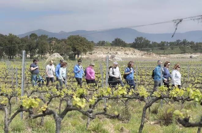 Els pobles de l’Albera reivindiquen el seu atractiu turístic de proximitat