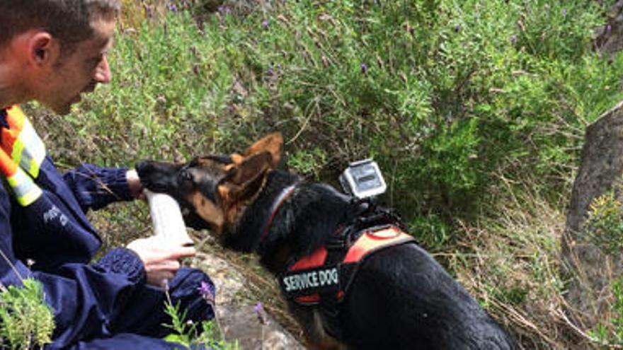 Incorporan drones y perros adiestrados en los rescates en las calas de Benitatxell