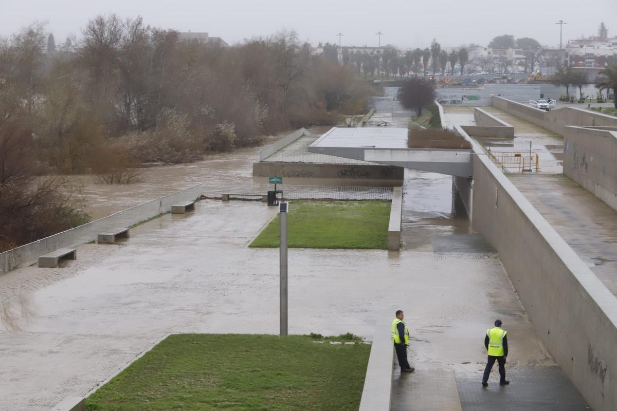 Desciende el nivel del Guadalquivir a su paso por Córdoba: las imágenes del río este martes