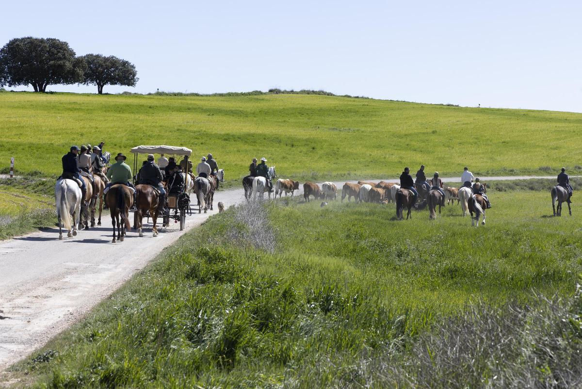 Cruzado la Cañada Tarragoya