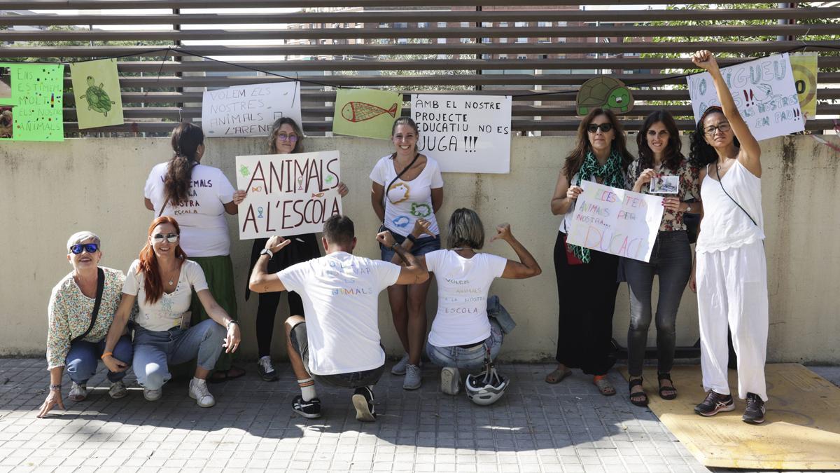 Revuelta en una escuela de Barcelona obligada a quedarse sin animales