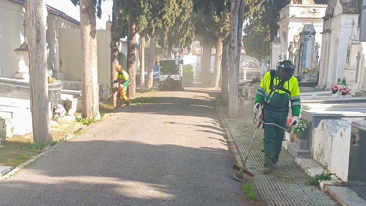 Operarios municipales realizan labores de desbroce y limpieza en uno de los viales del cementerio de Mérida, dentro del plan especial activado tras el temporal.