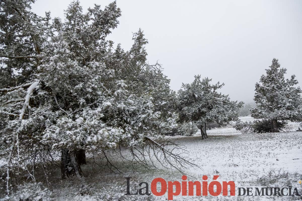 Nieve en el Noroeste