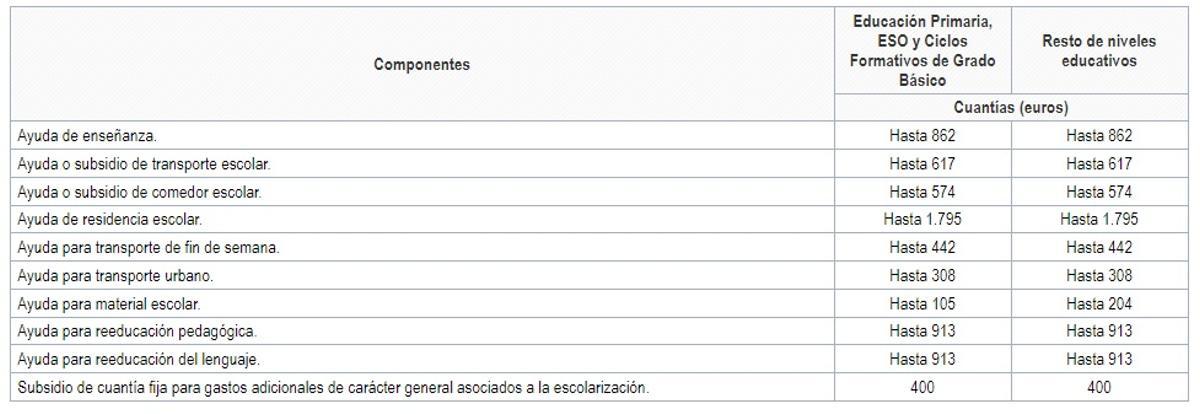 Cuantías de las ayudas y subsidios para el alumnado con discapacidad en grado igual o superior al 25%, trastorno grave de la conducta, trastorno grave de la comunicación y del lenguaje y TEA. Becas MEC curso 2024-2025