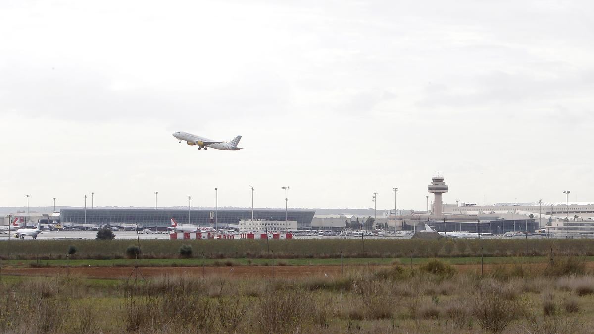 Un avión despega en el aeropuerto de Palma, a 8 de noviembre de 2021