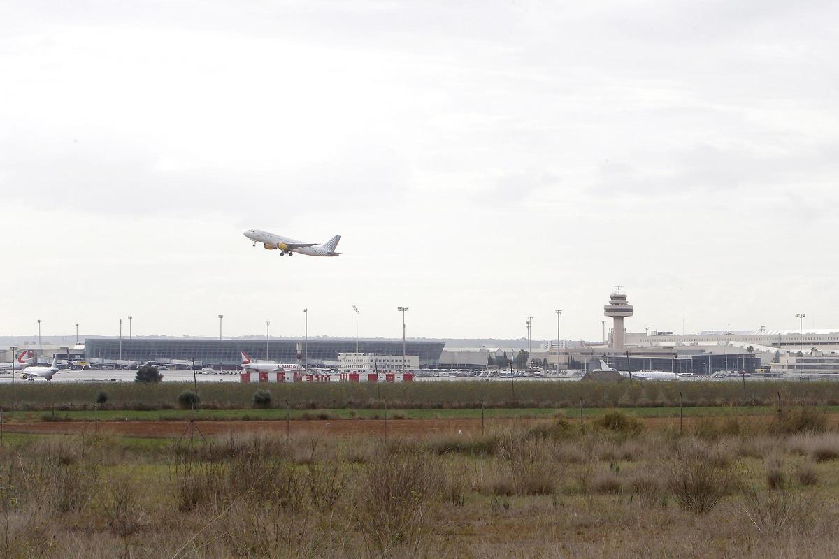 Un avión despega en el aeropuerto de Palma, a 8 de noviembre de 2021