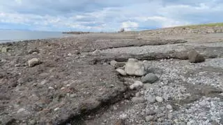 Los residuos industriales se están convirtiendo en un nuevo tipo de roca