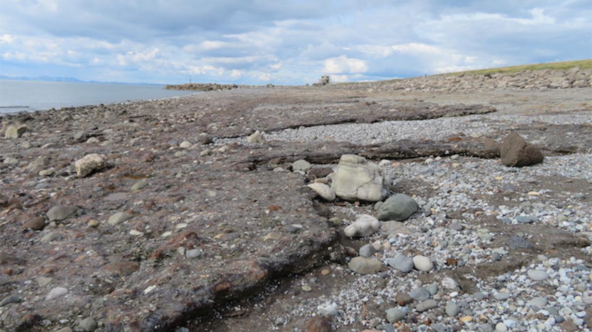 La acumulación de desechos industriales se "acopla" al entorno natural y conforma rocas en menos de 40 años.