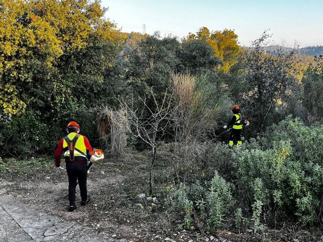 Las viviendas del barrio de Gavà Mar contarán con franjas de protección de 25 metros ante incendios forestales