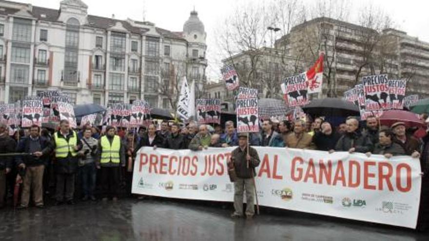 Cabecera de la manifestación de ayer del sector ganadero de Castilla y León ante la difícil situación de sus explotaciones, por las calles de Valladolid.