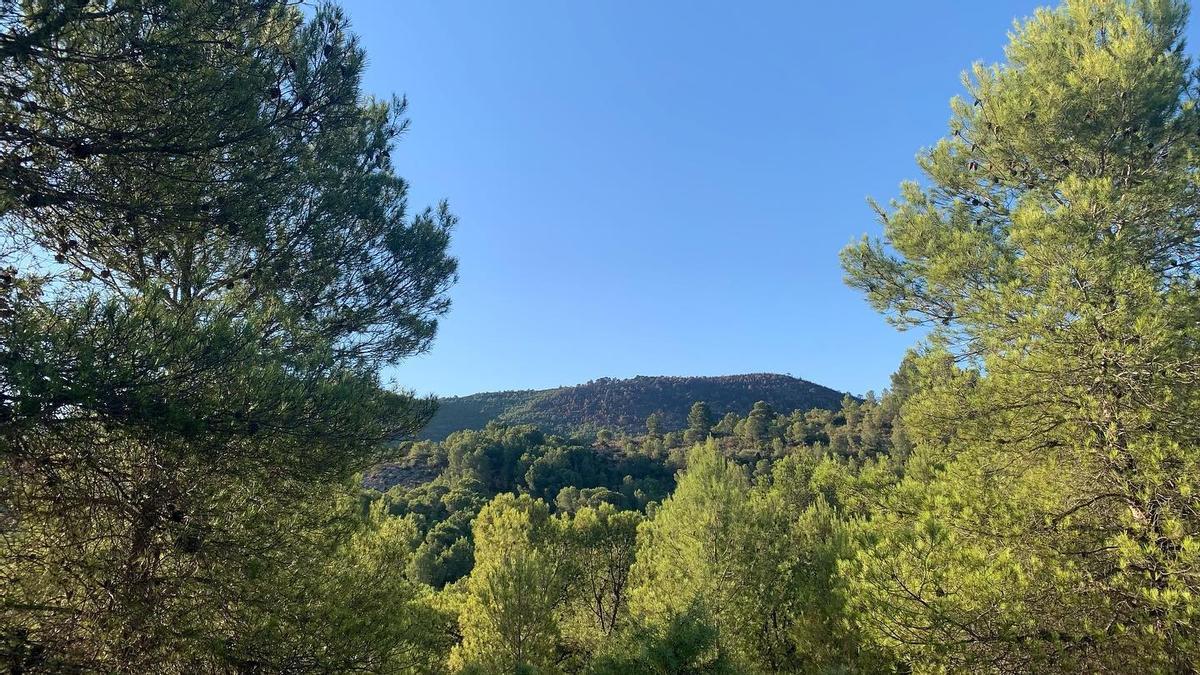 Comienza el recorte de las horas solares respecto a las horas nocturnas.