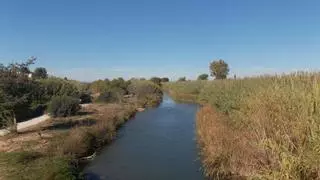 Riba-roja sancionará con 600 euros el vertido de productos contaminantes al río Túria