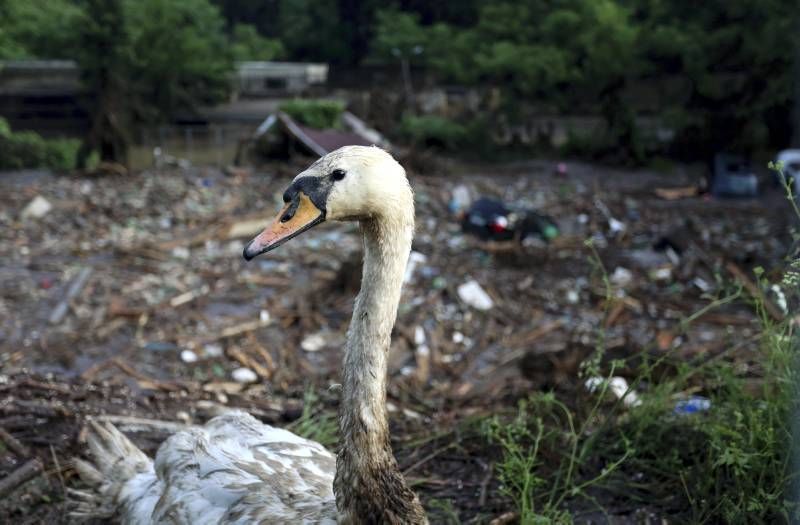 Fotogalería: Los efectos de las inundaciones en Georgia