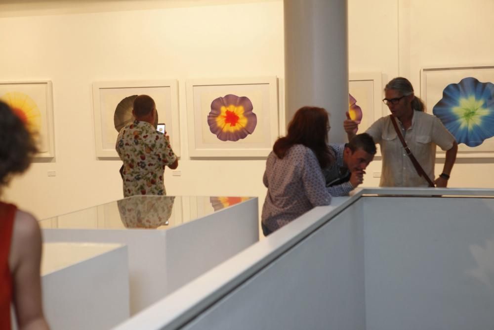 Inauguración de la exposición de Alejandro Mieres en el Museo Baroja