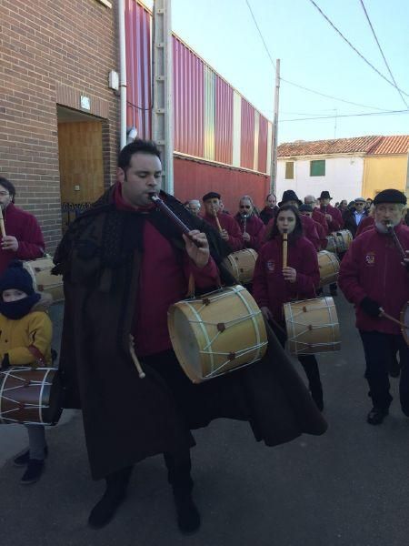 Exaltación de la capa parda en Carbajales de Alba