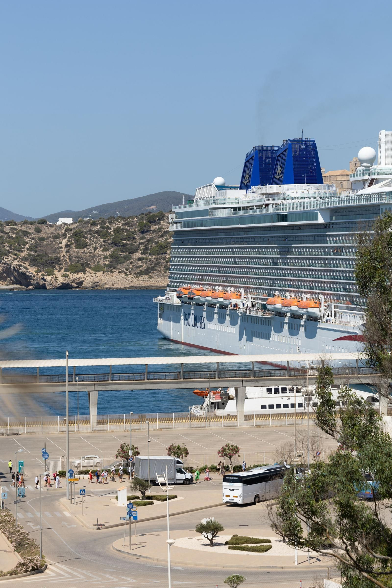 Galería: Portesta contra  los cruceros en Ibiza