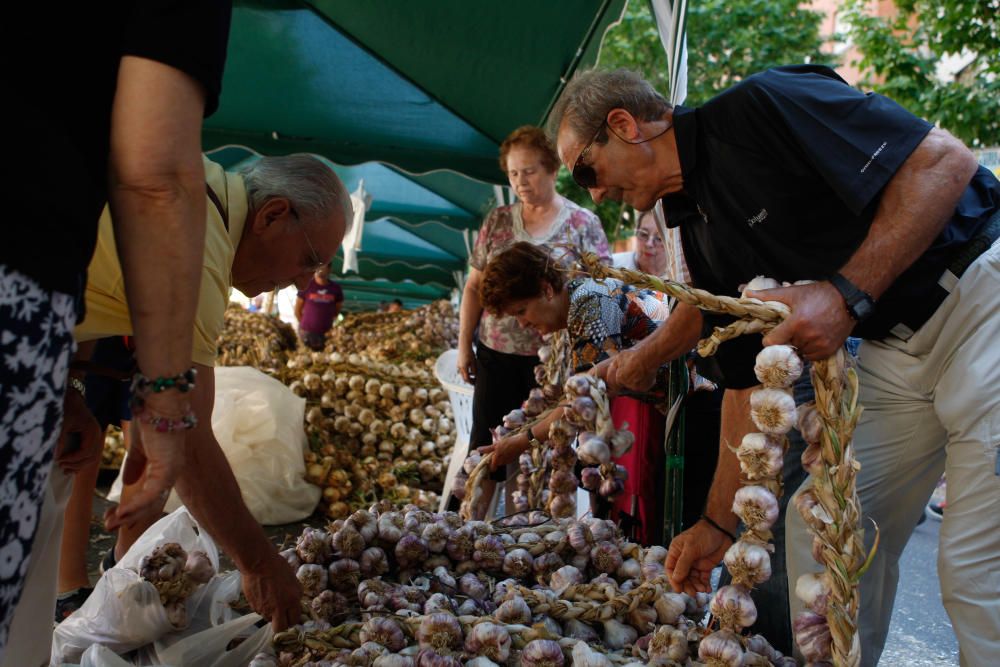 San Pedro 2016: Feria del Ajo