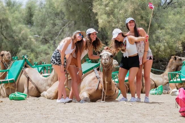 Reportaje excursiones con camellos en las Dunas ...