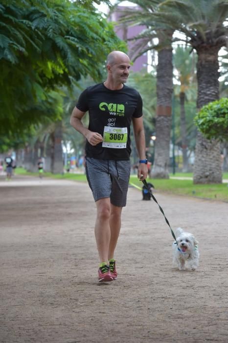 14-12-2019 LAS PALMAS DE GRAN CANARIA. Carrera de perros Can We Run, en el Parque Romano. Fotógrafo: ANDRES CRUZ  | 14/12/2019 | Fotógrafo: Andrés Cruz