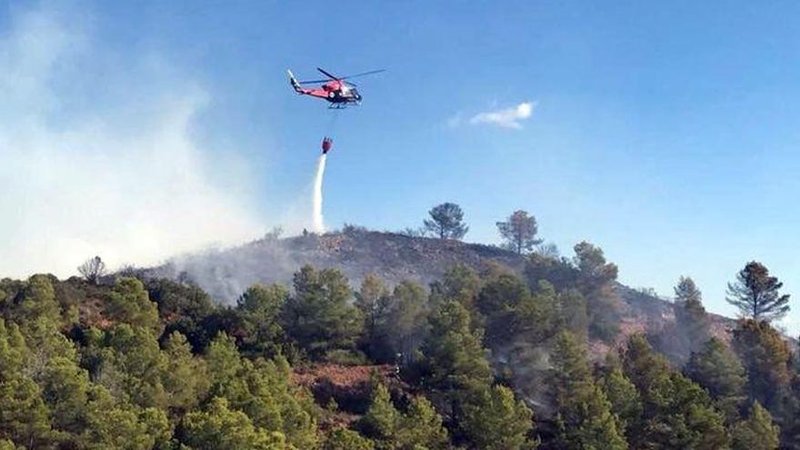 Controlan un incendio forestal en la zona de Garrut de la Vall d&#039;Uixó