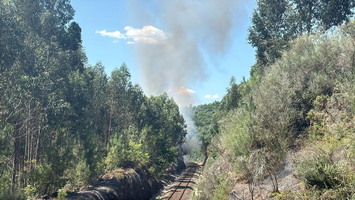 El incendio forestal se produjo cerca de las vías del tren