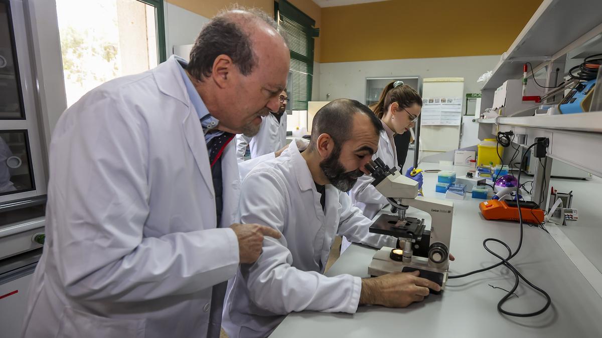 El catedrático José Miguel Sempere con parte del equipo en el laboratorio de la UA