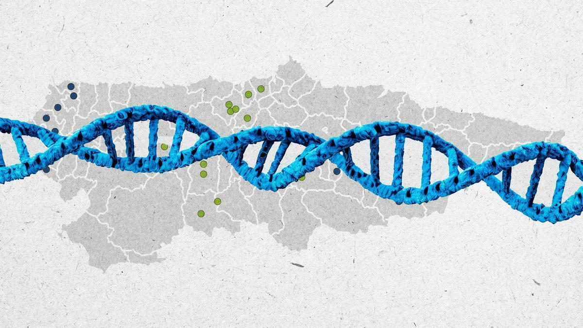 Descubiertas unas mutaciones genéticas en Asturias que predisponen al cáncer (y provienen de estos concejos)